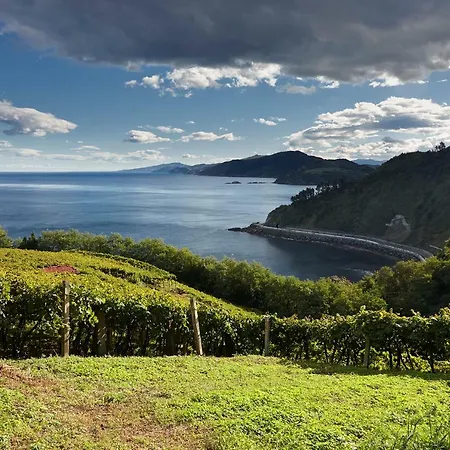 Aterian Pilartxo Enea *