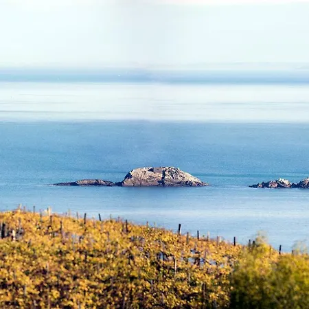 Aterian Pilartxo Enea דירה *